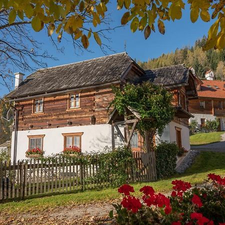 Troadkasten - Ferienhaus Am Bio-Bergbauernhof Aflenz Kurort エクステリア 写真