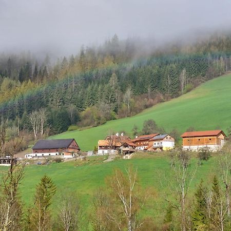 Troadkasten - Ferienhaus Am Bio-Bergbauernhof Aflenz Kurort エクステリア 写真