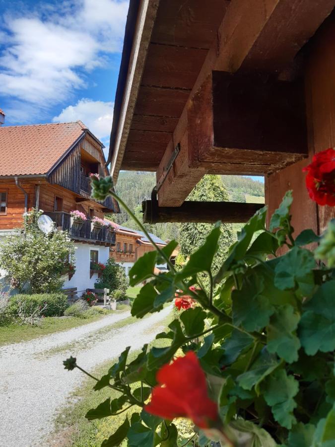 Troadkasten - Ferienhaus Am Bio-Bergbauernhof Aflenz Kurort エクステリア 写真