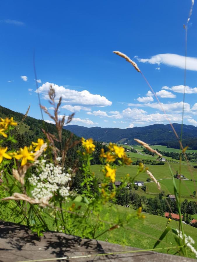 Troadkasten - Ferienhaus Am Bio-Bergbauernhof Aflenz Kurort エクステリア 写真