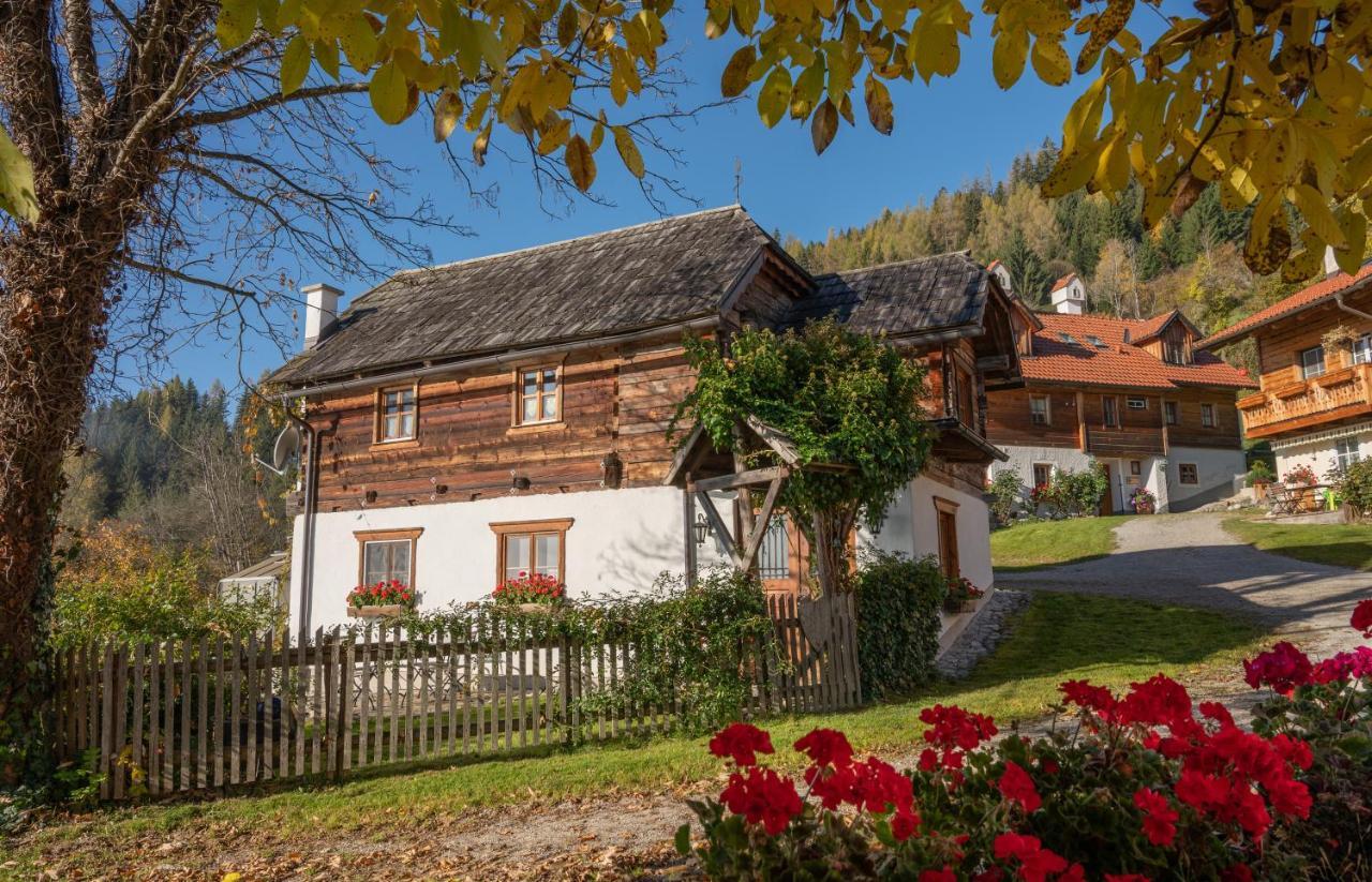Troadkasten - Ferienhaus Am Bio-Bergbauernhof Aflenz Kurort エクステリア 写真