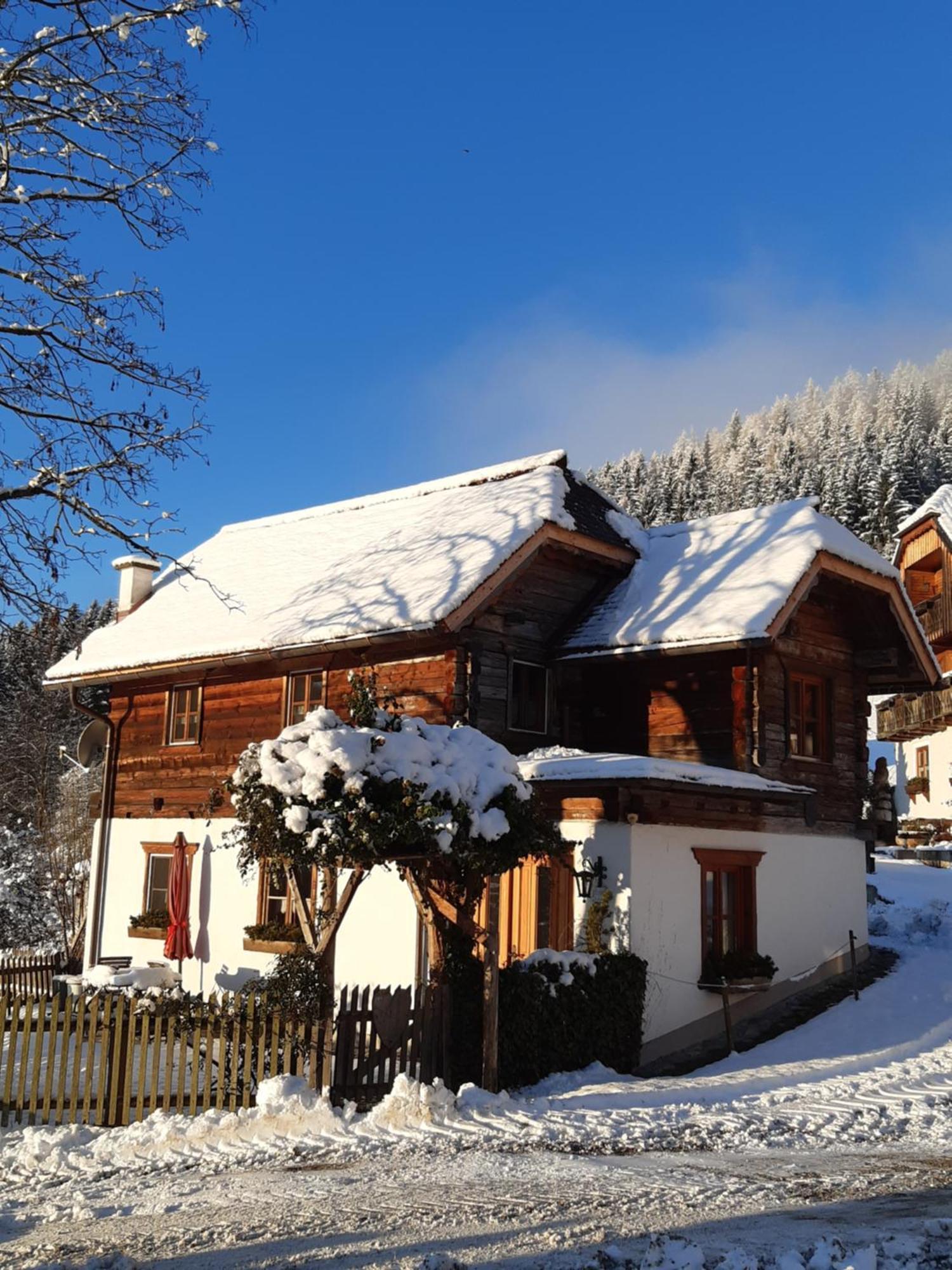 Troadkasten - Ferienhaus Am Bio-Bergbauernhof Aflenz Kurort エクステリア 写真